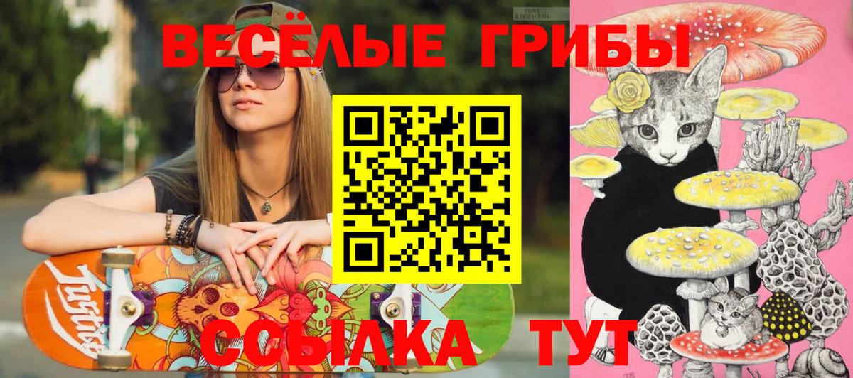 Псилоцибиновые грибы ЛСД Старая Купавна