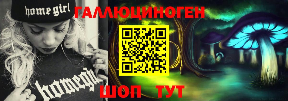Старая Купавна  Галлюциногенные грибы MAGIC MUSHROOMS  Вход с VPN 